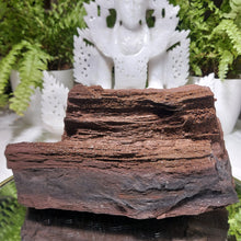 Lade das Bild in den Galerie-Viewer, Feenholz permineralisiertes fossiles Holz
