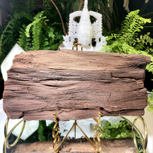 Lade das Bild in den Galerie-Viewer, Feenholz permineralisiertes fossiles Holz