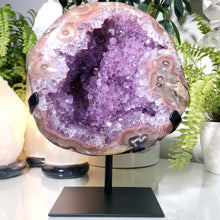 Lade das Bild in den Galerie-Viewer, XL Amethyst Cluster mit Stand