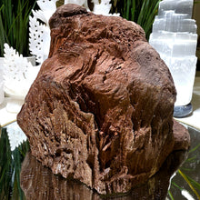 Lade das Bild in den Galerie-Viewer, Feenholz permineralisiertes fossiles Holz