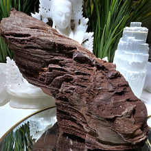 Lade das Bild in den Galerie-Viewer, Feenholz permineralisiertes fossiles Holz