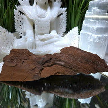 Lade das Bild in den Galerie-Viewer, Feenholz permineralisiertes fossiles Holz