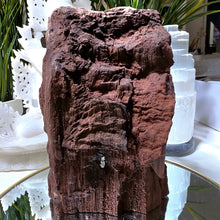 Lade das Bild in den Galerie-Viewer, Feenholz permineralisiertes fossiles Holz