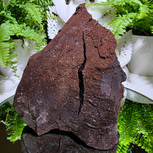 Lade das Bild in den Galerie-Viewer, Feenholz permineralisiertes fossiles Holz