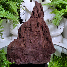 Lade das Bild in den Galerie-Viewer, Feenholz permineralisiertes fossiles Holz