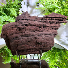 Lade das Bild in den Galerie-Viewer, Feenholz permineralisiertes fossiles Holz