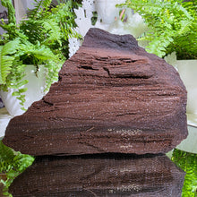 Lade das Bild in den Galerie-Viewer, Feenholz permineralisiertes fossiles Holz