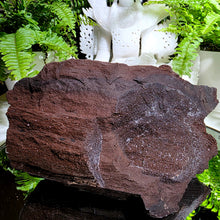 Lade das Bild in den Galerie-Viewer, Feenholz permineralisiertes fossiles Holz