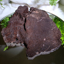 Lade das Bild in den Galerie-Viewer, Feenholz permineralisiertes fossiles Holz