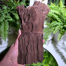 Lade das Bild in den Galerie-Viewer, Feenholz permineralisiertes fossiles Holz