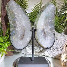 Lade das Bild in den Galerie-Viewer, XL Achat Flügel mit Druse mit Stand