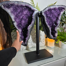Lade das Bild in den Galerie-Viewer, XXL Amethyst Flügel Paar auf Stand