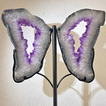 Lade das Bild in den Galerie-Viewer, XXL Amethyst Flügel Paar auf Stand