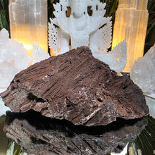 Lade das Bild in den Galerie-Viewer, Feenholz permineralisiertes fossiles Holz