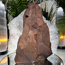 Lade das Bild in den Galerie-Viewer, Großes Feenholz permineralisiertes fossiles Holz