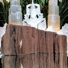 Lade das Bild in den Galerie-Viewer, Feenholz permineralisiertes fossiles Holz