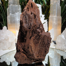 Lade das Bild in den Galerie-Viewer, Feenholz permineralisiertes fossiles Holz