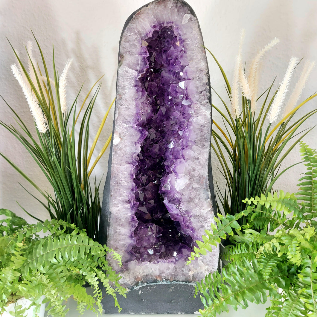 XXL Amethyst Kathedrale Brasilien