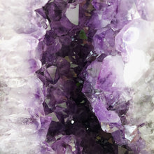 Lade das Bild in den Galerie-Viewer, XXL Amethyst Kathedrale Brasilien
