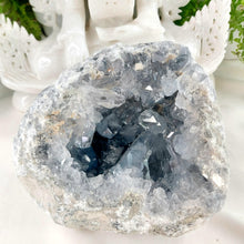 Lade das Bild in den Galerie-Viewer, Große Coelestin Cluster Geode
