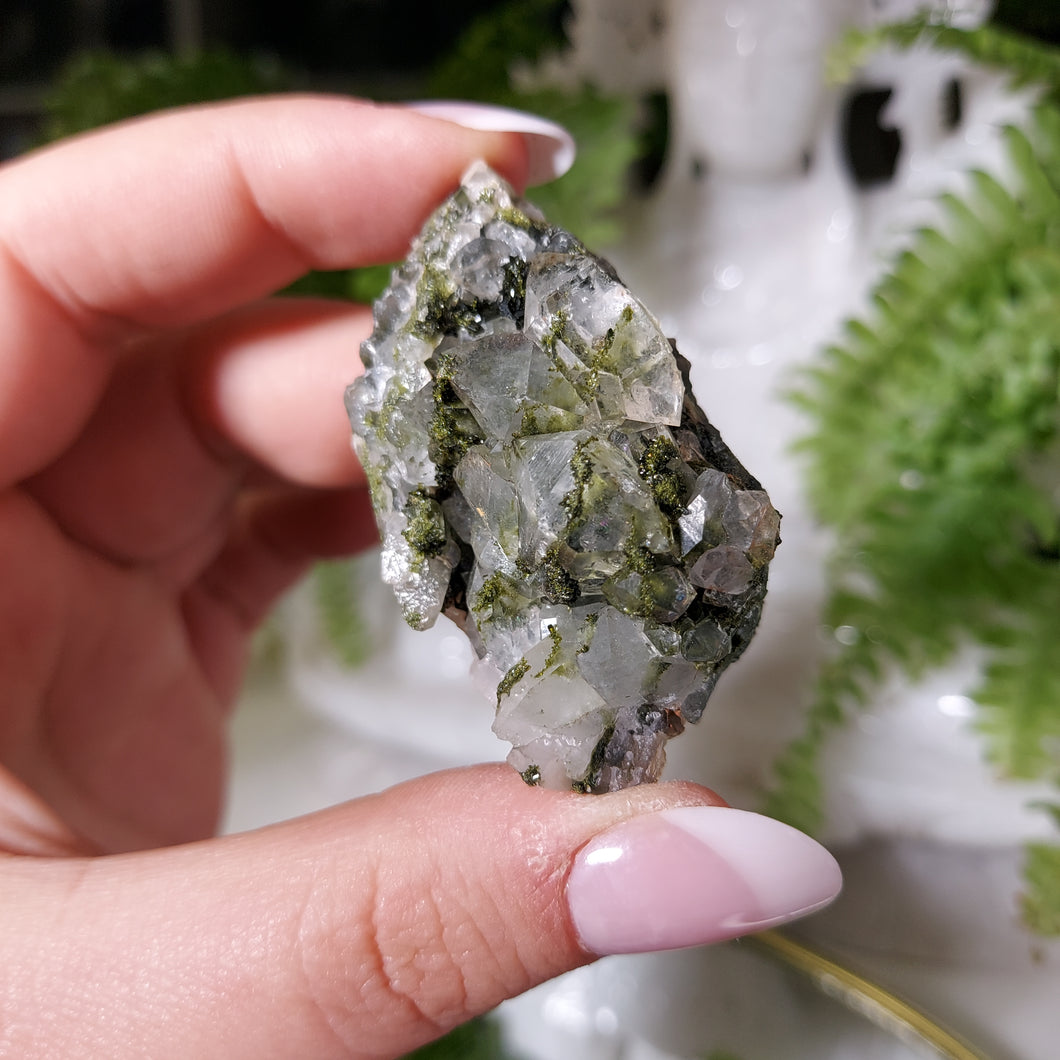 Glitzernder Wald Epidot & Quarz, Türkei