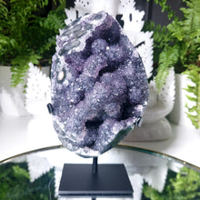 Lade das Bild in den Galerie-Viewer, Amethyst Cluster auf Stand
