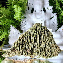 Lade das Bild in den Galerie-Viewer, Glitzernder Wald Epidot &amp; Quarz
