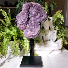 Lade das Bild in den Galerie-Viewer, XL Amethyst Cluster auf Stand
