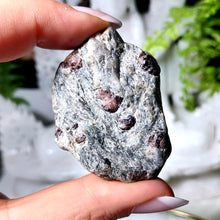 Lade das Bild in den Galerie-Viewer, Granat in Glimmerschiefer
