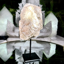 Lade das Bild in den Galerie-Viewer, Golden Mica auf Stand

