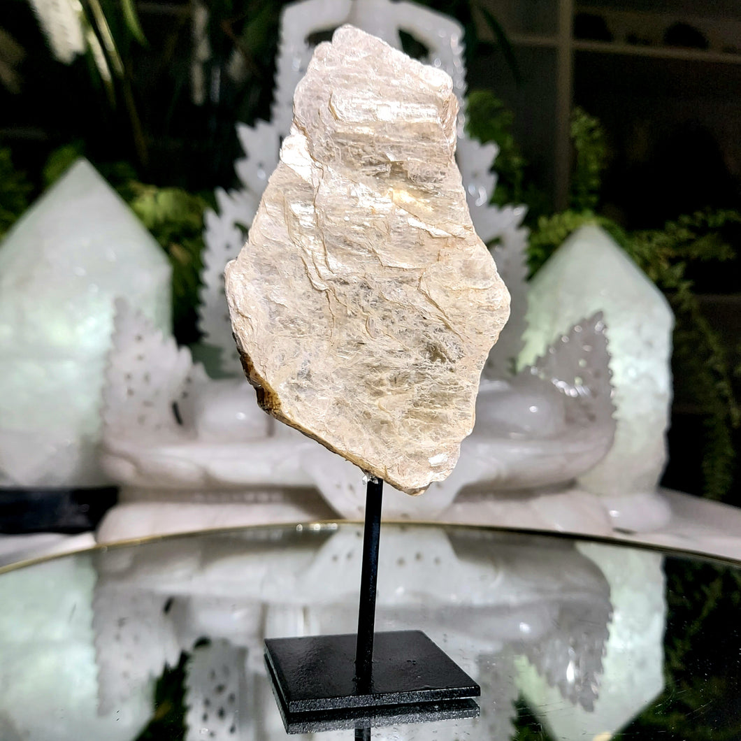Golden Mica auf Stand