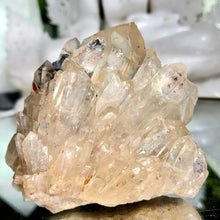 Lade das Bild in den Galerie-Viewer, Kundalini Citrin (natürlich)
