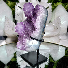 Lade das Bild in den Galerie-Viewer, Amethyst Stalaktit Cluster auf Stand
