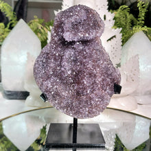Lade das Bild in den Galerie-Viewer, Amethyst Cluster auf Stand
