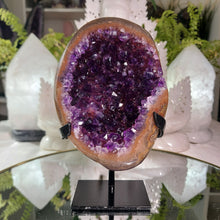 Lade das Bild in den Galerie-Viewer, High Quality Amethyst Cluster auf Stand
