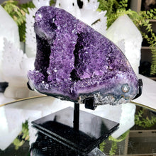 Lade das Bild in den Galerie-Viewer, Amethyst Stalaktit Cluster mit Stand
