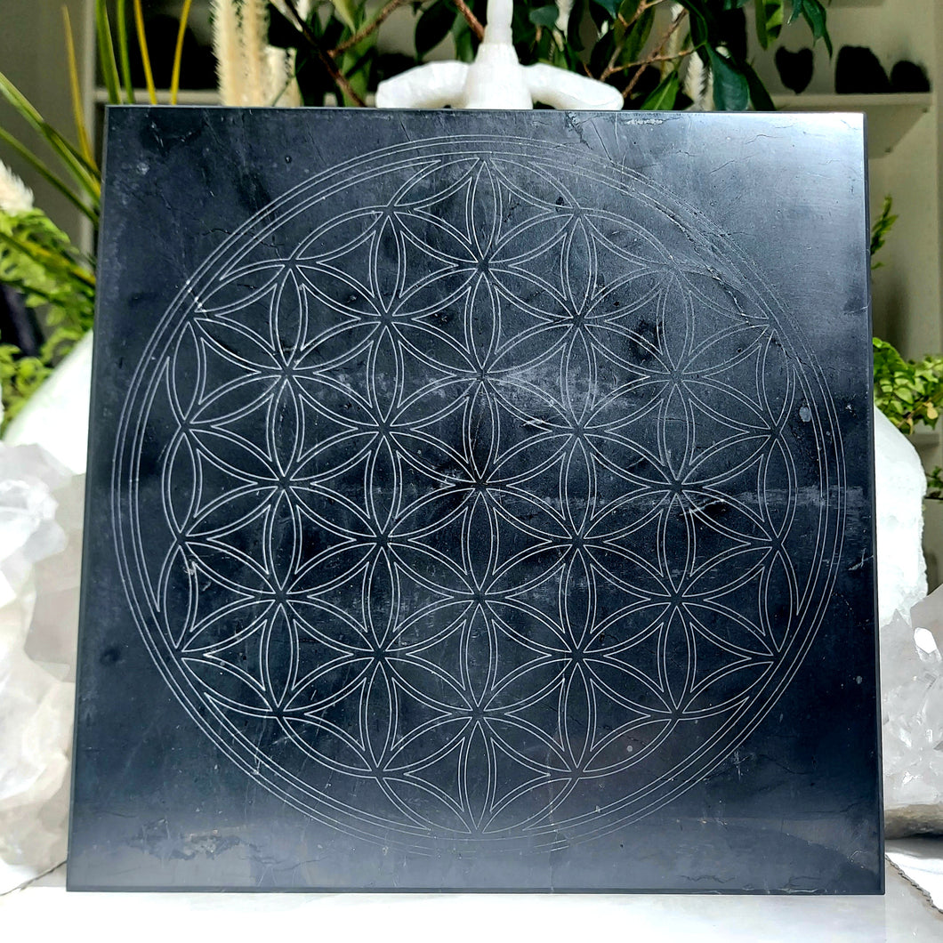 XL Schungit Platte Blume des Lebens Eckig
