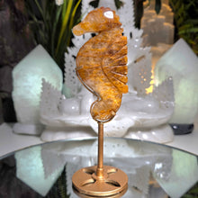 Lade das Bild in den Galerie-Viewer, Golden Healer Seepferdchen auf Stand
