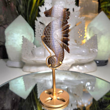 Lade das Bild in den Galerie-Viewer, Achat Seepferdchen auf Stand
