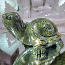 Lade das Bild in den Galerie-Viewer, Serpentin Schildkröte
