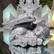 Lade das Bild in den Galerie-Viewer, Engelskatze

