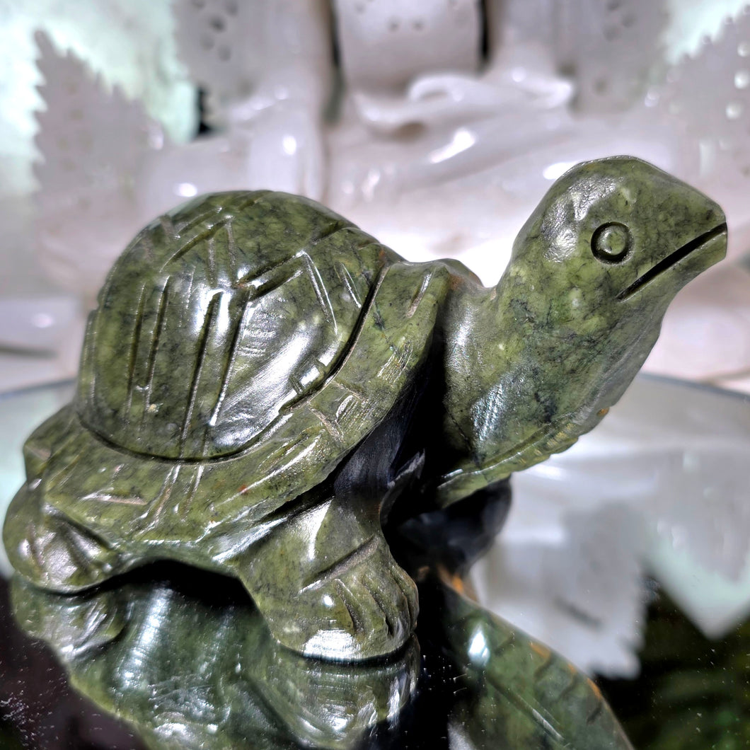 Serpentin Schildkröte