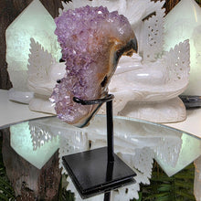 Lade das Bild in den Galerie-Viewer, Amethyst auf Stand
