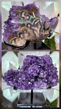Lade das Bild in den Galerie-Viewer, Amethyst Cluster auf Stand
