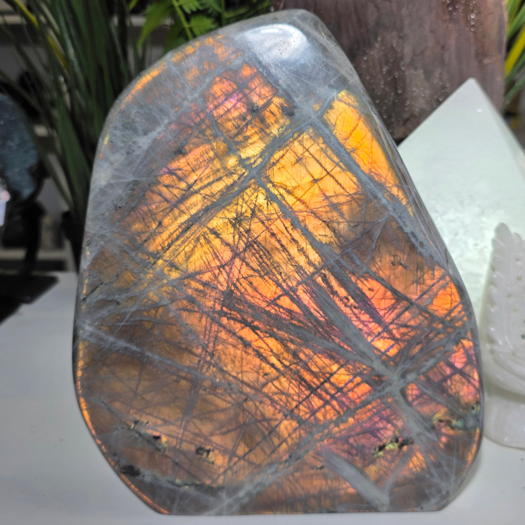 XL Labradorit Freeform