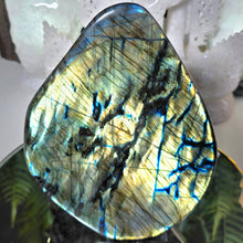Lade das Bild in den Galerie-Viewer, Labradorit Freeform
