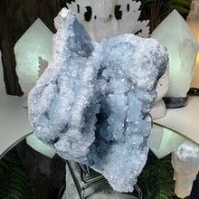 Lade das Bild in den Galerie-Viewer, Coelestin Cluster auf Stand
