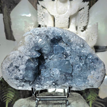 Lade das Bild in den Galerie-Viewer, Coelestin Cluster auf Stand
