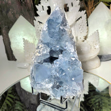 Lade das Bild in den Galerie-Viewer, Coelestin Cluster auf Stand
