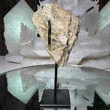 Lade das Bild in den Galerie-Viewer, Golden Mica auf Stand
